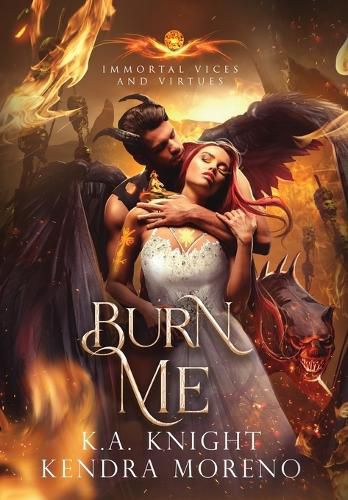 Cover image for Burn Me