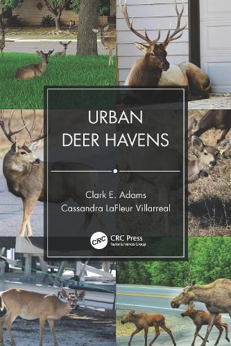 Cover image for Urban Deer Havens