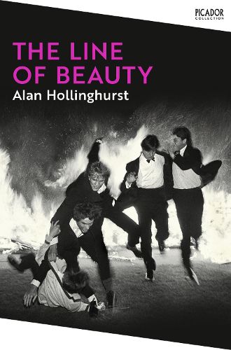 Cover image for The Line of Beauty