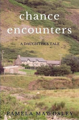 Cover image for Chance Encounters A Daughter's Tale