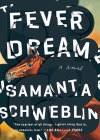 Cover image for Fever Dream: A Novel