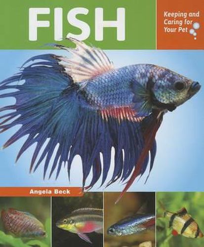 Cover image for Fish: Keeping and Caring for Your Pet