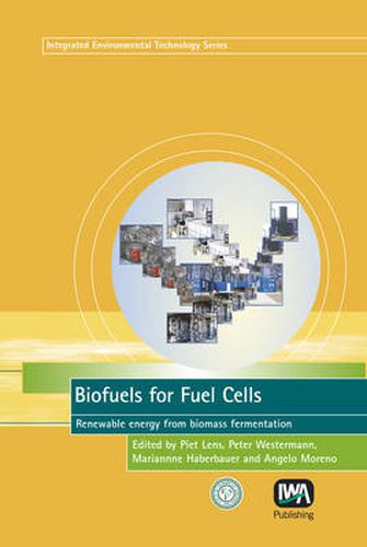 Cover image for Biofuels for Fuel Cells