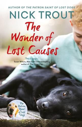 Cover image for The Wonder of Lost Causes