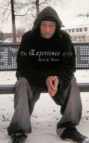 Cover image for The Experience of Life