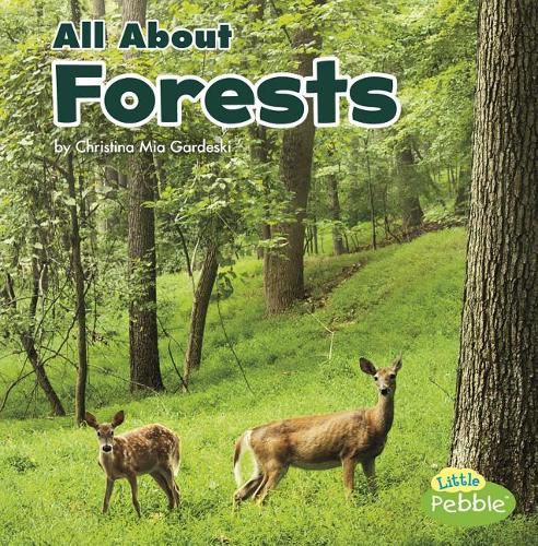 Cover image for All about Forests