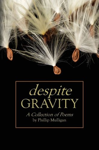 Cover image for Despite Gravity
