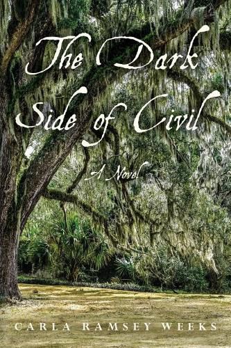 Cover image for The Dark Side of Civil