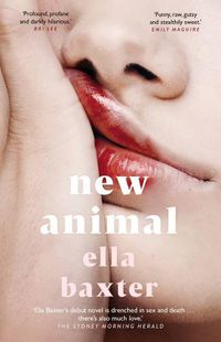 Cover image for New Animal