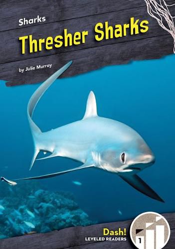 Cover image for Thresher Sharks