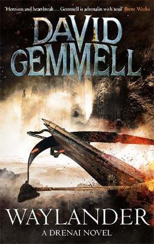 Cover image for Waylander