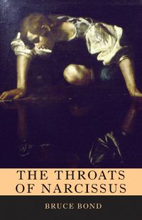 Cover image for The Throats of Narcissus