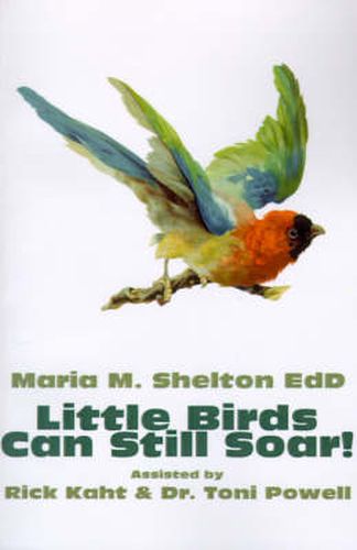 Cover image for Little Birds Can Still Soar!