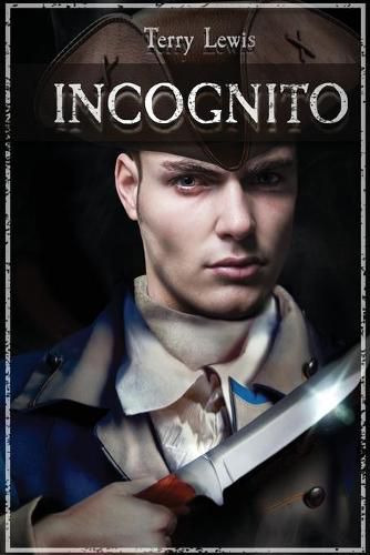 Cover image for Incognito