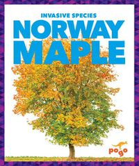 Cover image for Norway Maple