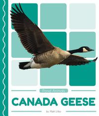 Cover image for Canada Geese