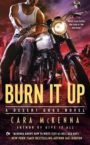 Cover image for Burn It Up