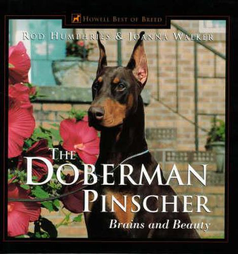 Cover image for The Doberman Pinscher