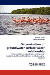 Cover image for Determination of groundwater-surface water relationship