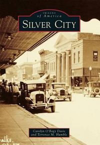 Cover image for Silver City