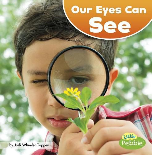 Cover image for Our Eyes Can See (Our Amazing Senses)