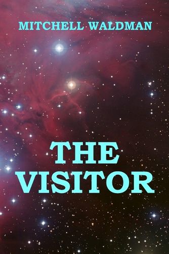 Cover image for The Visitor