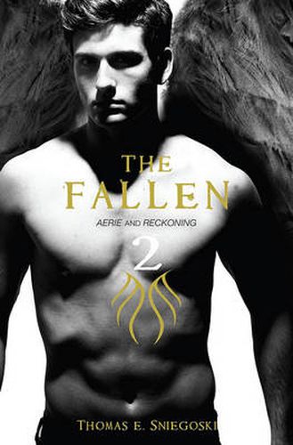 Cover image for Fallen 2: Aerie and Reckoning