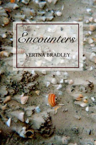 Cover image for Encounters