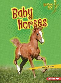 Cover image for Baby Horses