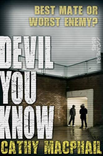 Cover image for Devil You Know