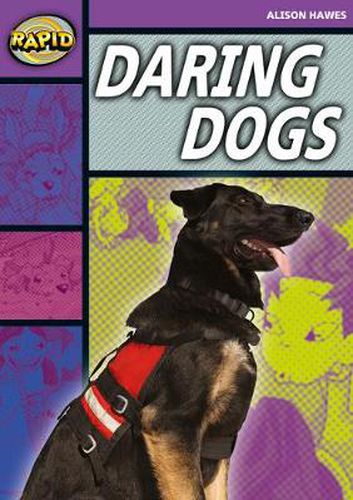 Cover image for Rapid Stage 1 Set B: Daring Dogs(Series 1)
