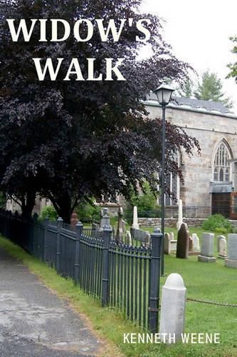 Cover image for Widow's Walk