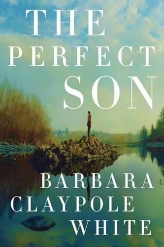 Cover image for The Perfect Son