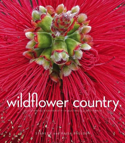 Cover image for Wildflower Country