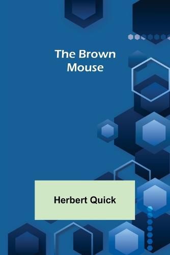 Cover image for The Brown Mouse