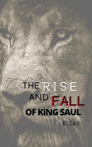 Cover image for Rise and Fall of King Saul