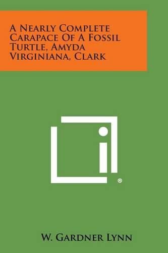 Cover image for A Nearly Complete Carapace of a Fossil Turtle, Amyda Virginiana, Clark