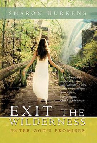 Cover image for Exit the Wilderness: Enter God's Promises