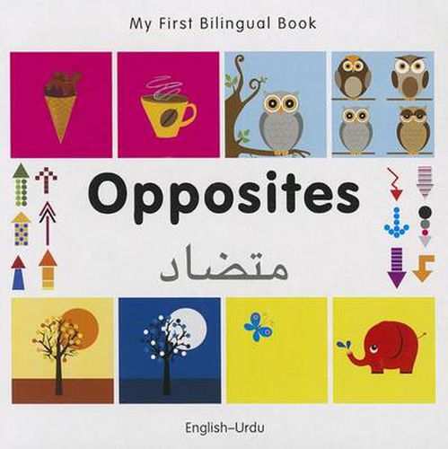 Cover image for My First Bilingual Book - Opposites: English-urdu