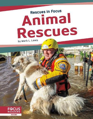 Cover image for Rescues in Focus: Animal Rescues