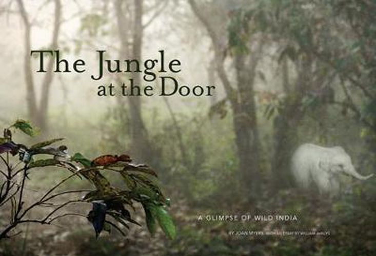 Jungle at the Door: A Glimpse of Wild India