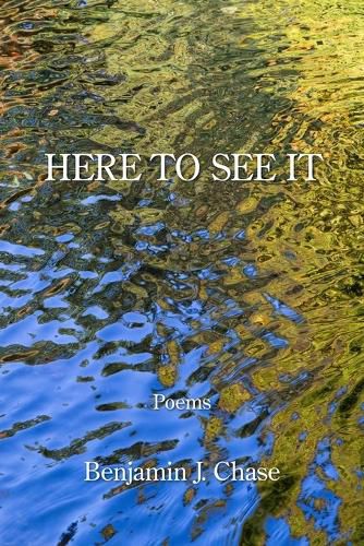 Cover image for Here to See It