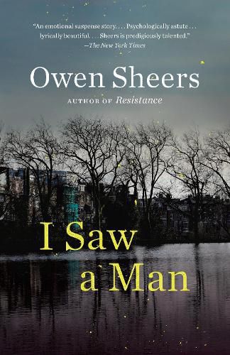 I Saw a Man: A Novel