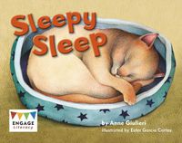 Cover image for Sleepy Sleep!