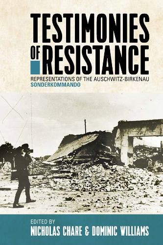 Cover image for Testimonies of Resistance