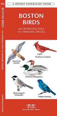 Cover image for Boston Birds: A Folding Pocket Guide to Familiar Species