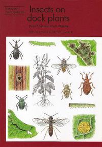 Cover image for Insects on dock plants