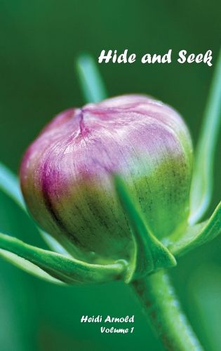 Cover image for Hide and Seek