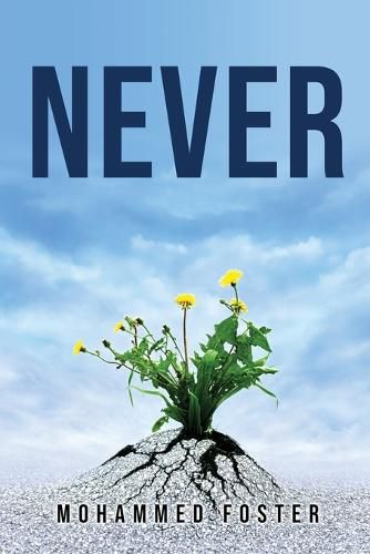 Cover image for Never