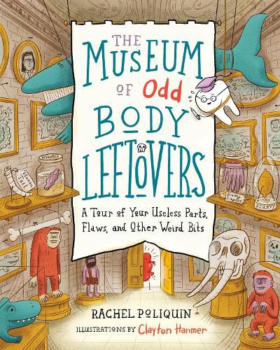 The Museum of Odd Body Leftovers: A Tour of Your Useless Parts, Flaws, and Other Weird Bits